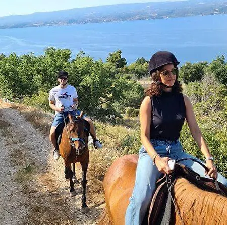 A Dream House With A Dream View In Royal Park Lejlighed