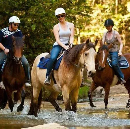 Lejlighed A Dream House With A Dream View In Royal Park *