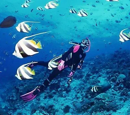 A Dream House With A Dream View In Royal Park Lejlighed