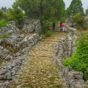 A Dream House With A Dream View In Royal Park