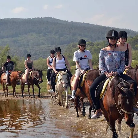 A Dream House With A Dream View In Royal Park