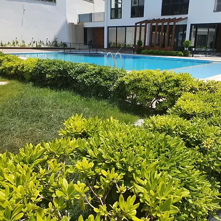 A Dreamy Luxury Two-Bedroom Apartment With A Special View Of The Forest, Mountains And Sunset